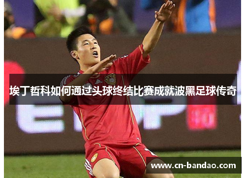 埃丁哲科如何通过头球终结比赛成就波黑足球传奇