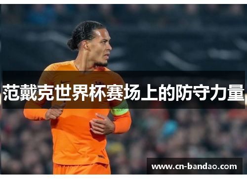 范戴克世界杯赛场上的防守力量