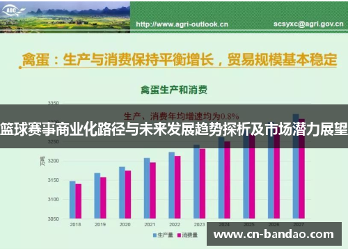 篮球赛事商业化路径与未来发展趋势探析及市场潜力展望