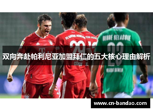 双向奔赴帕利尼亚加盟拜仁的五大核心理由解析