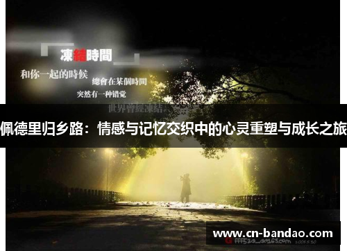 佩德里归乡路：情感与记忆交织中的心灵重塑与成长之旅