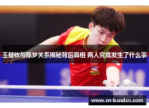 王楚钦与陈梦关系揭秘背后真相 两人究竟发生了什么事 王楚钦与陈梦关系揭秘背后真相 两人究竟发生了什么事