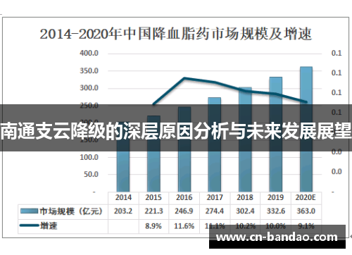 南通支云降级的深层原因分析与未来发展展望 南通支云降级的深层原因分析与未来发展展望