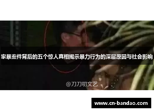 家暴案件背后的五个惊人真相揭示暴力行为的深层原因与社会影响