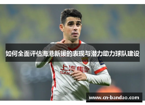 如何全面评估海港新援的表现与潜力助力球队建设