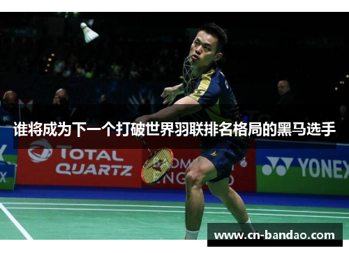 谁将成为下一个打破世界羽联排名格局的黑马选手