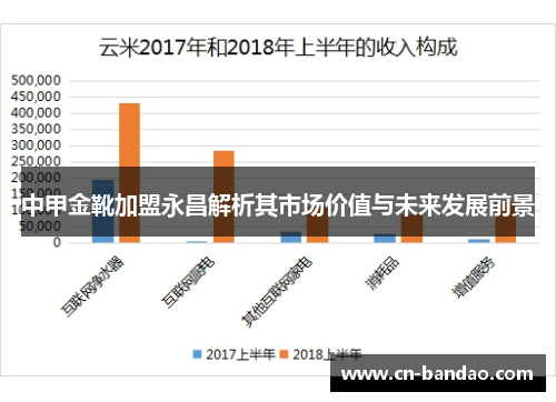 中甲金靴加盟永昌解析其市场价值与未来发展前景