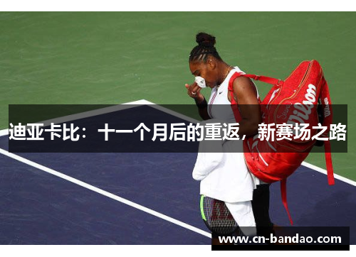 迪亚卡比：十一个月后的重返，新赛场之路