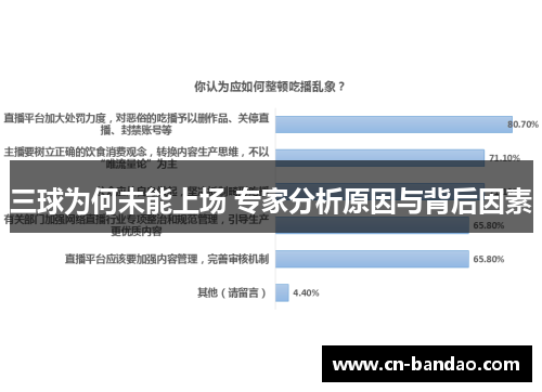 三球为何未能上场 专家分析原因与背后因素