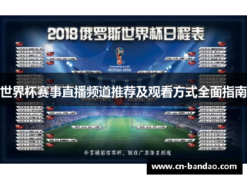 世界杯赛事直播频道推荐及观看方式全面指南