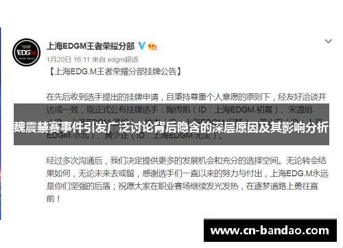 魏震禁赛事件引发广泛讨论背后隐含的深层原因及其影响分析